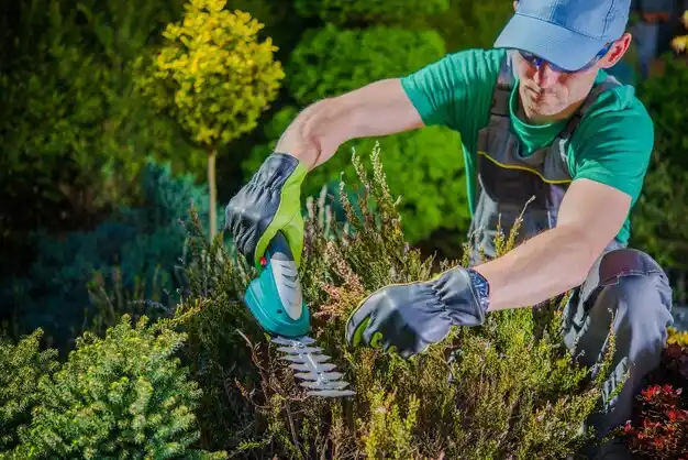 landscaping services Linn
